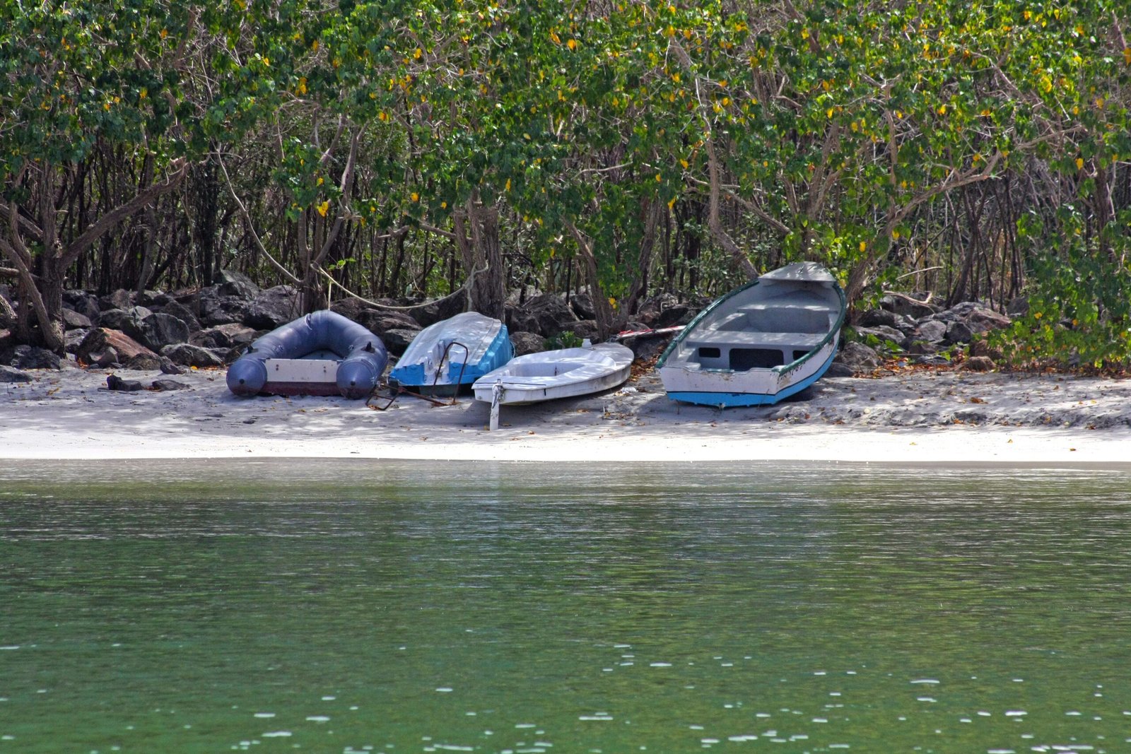 a couple of boats